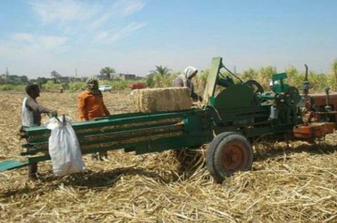 “وزارة البيئة”  تبدأ منظومة مواجهة حرق سفير القصب للحد من مصادر تلوث الهواء