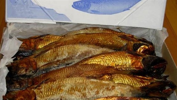ضبط 2 طن رنجة فاسده بالغربية