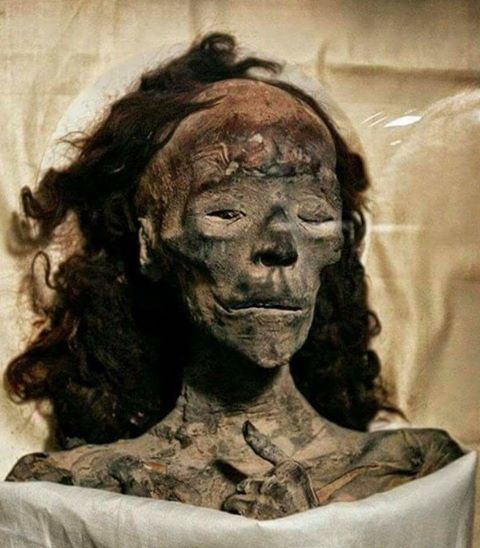 تعرف على لعنه ﻣﻮﻣﻴﺎﺀ ﺁﻣﻦ ﺭﻉ الملعونة !!