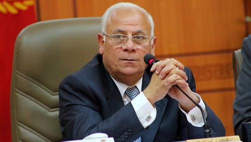 محافظ بورسعيد يوجة المجلس الاقليمي للسكان بتكثيف البرامج بقري بورسعيد