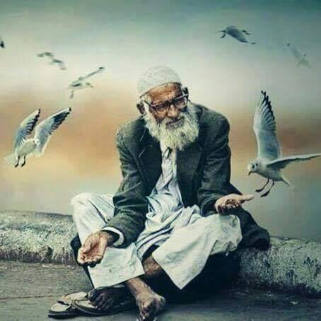 ولما جاءوا لقتلي .. كنت وحيداً ولم أفعل شيئاً ..