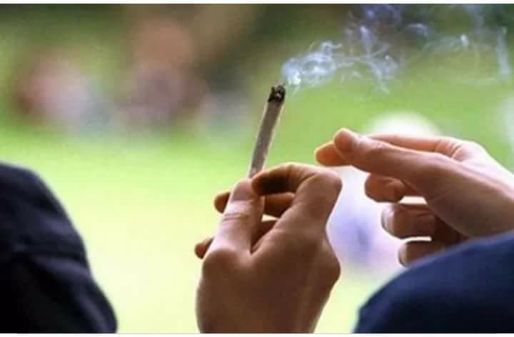 ضبط طالبين بجامعة طنطا يتعاطيان المخدرات داخل الحرم الجامعي