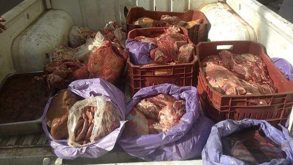 بيطري الإسكندرية ..ضبط ٥٨,٥ طن لحوم مجمدة منتهية الصلاحية بحوض ١٠ بالمعمورة