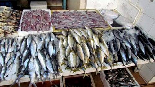 نقيب صيادي الإسكندرية يكشف أسباب ارتفاع أسعار الاسماك