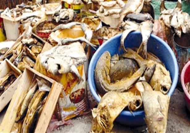 صحة الاسكندرية..التحفظ على 11 برميل فسيخ بلدي بالمنتزه