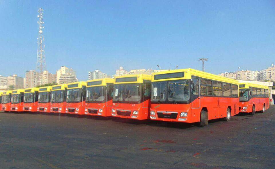 محافظ الاسكندرية .. تدعيم اسطول هيئة نقل الركاب ب٢٠ سيارة ميني باص سعة ٣٧ راكب