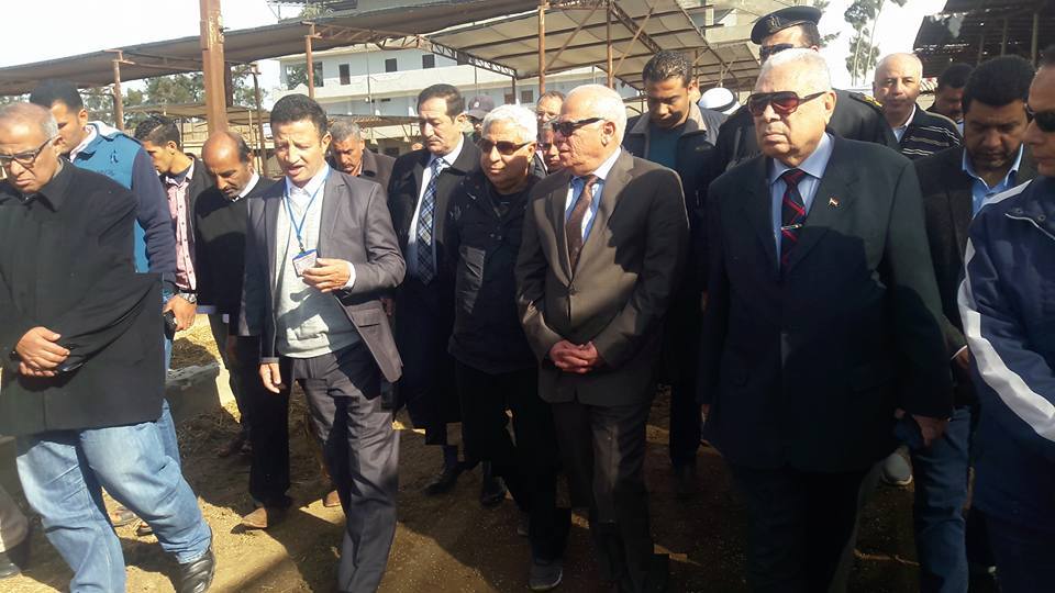 محافظ بورسعيد يتفقد مشروع الإنتاج الحيوانى بسهل الطينة