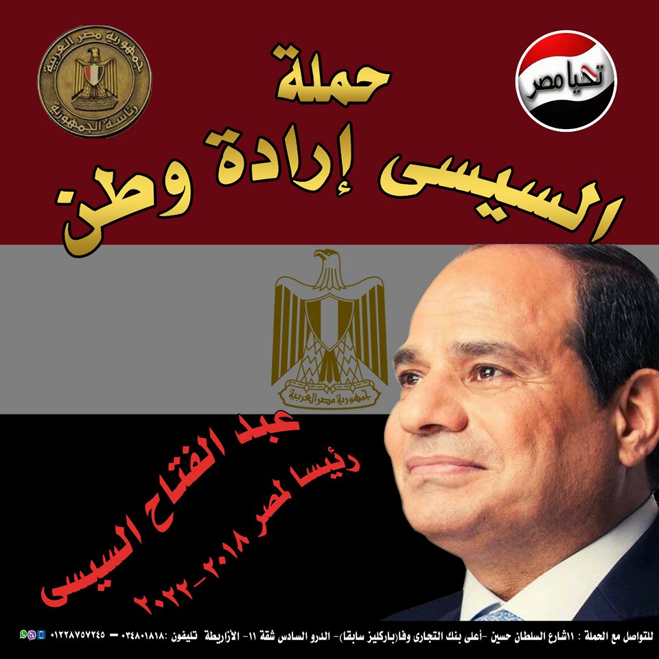 حملة السيسى إرادة وطن تكتسح جميع أنحاء الإسكندرية