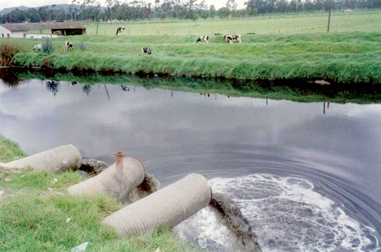 الأتحاد الأوروبى يناقش مصرف كيتشنر بمحافظة الغربية وكفر الشيخ