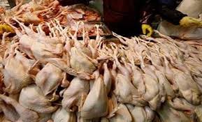 علاء فهمى  : يحذر من الدواجن المجمدة بالأسواق الشعبية