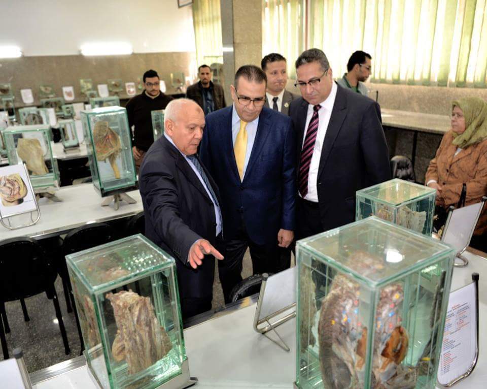 رئيس جامعة المنصورة يفتتح متحف التشريح بكلية الطب