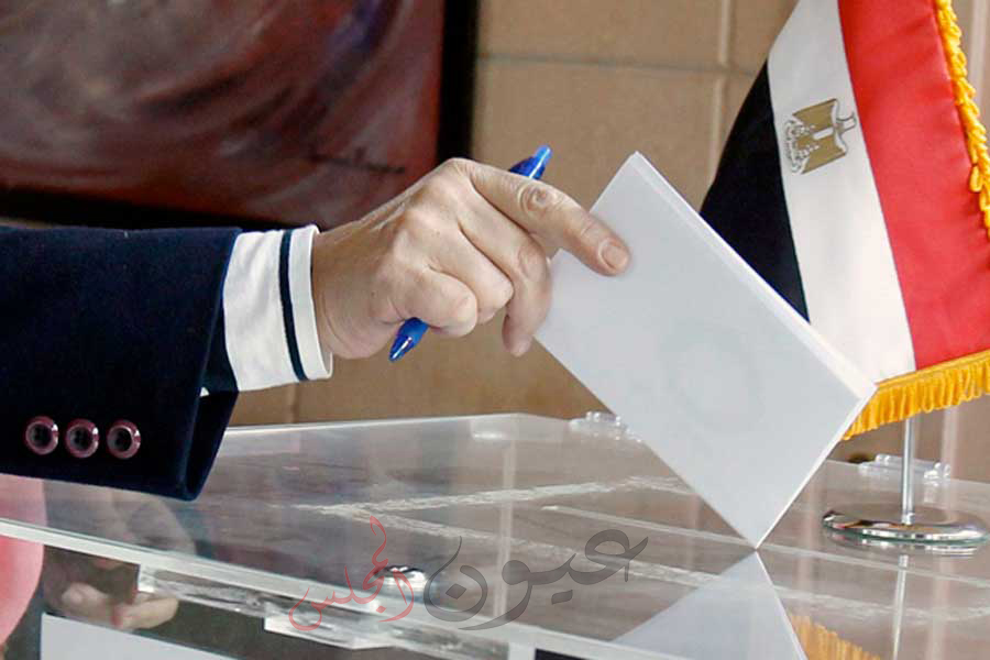 بعض منظمات الاقليميه ترغب فى متابعه عمليه انتخابات الرئاسيه فى الخارج .