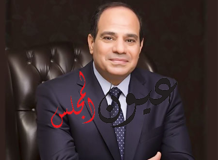 الوطنيه للانتخابات .. فوز عبدالفتاح السيسي بفترة رئاسية ثانية