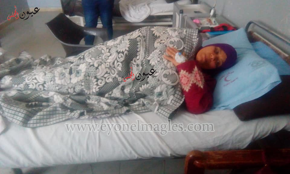 إضراب مشرفة بمدرسة صلاح الدين عن الطعام بمركز قلب المحلة بسبب قرار إستبعادها عن العمل