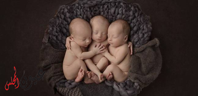 حبس 10 سنوات وغرامة 200 ألف جنيه للدكتور على توكل طبيب نساء وتوليد في قضية “بيع الأطفال” بالمحلة…