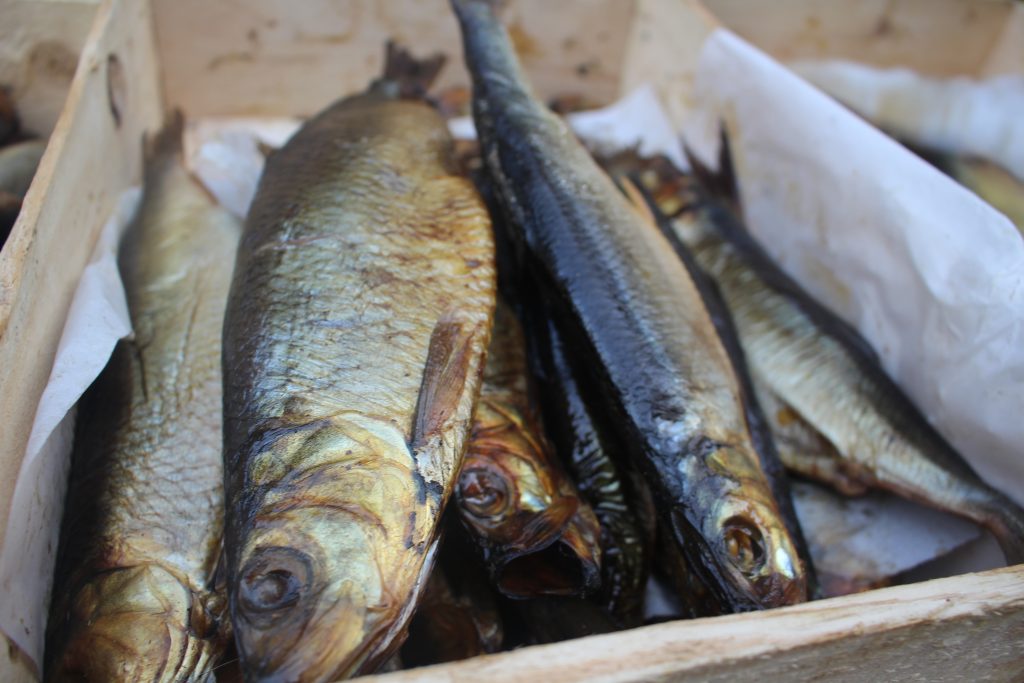 ضبط 65 طن فسيخ  ورنجة منتهي الصلاحية خلال 7 أيام.