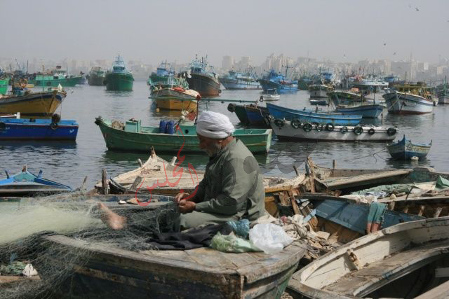 ٣٠٠٠ جنية إعانة رمضان لكل صياد بالبحر الأحمر