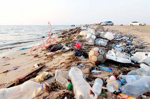 الحفاظ على البيئة والوقاية المتكاملة من الأمراض أهم أولويات محافظة البحر الأحمر