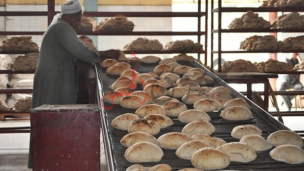 تكثيف الرقابة على الأسواق والوقوف على مدى توافر الخبز للمواطنين خلال شهر رمضان الكريم