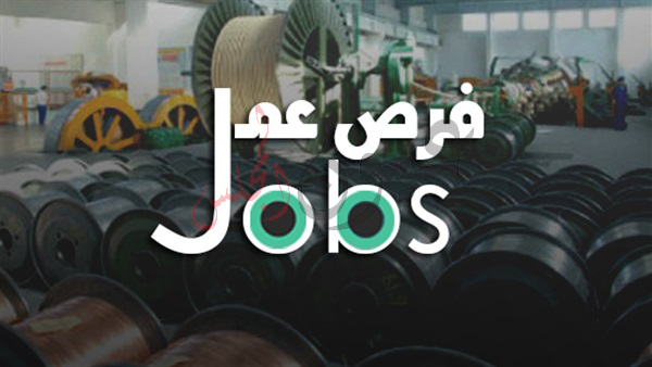 توفير 36 ألف و 528 فرصة عمل لأبناء محافظة الشرقية