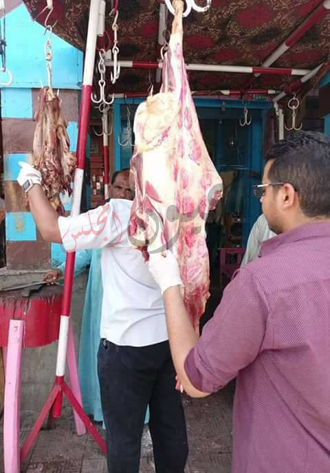 ضبط مصنعات لحوم وأغذية مختلفة غير صالحة للاستهلاك الآدمي