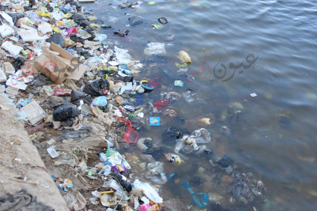 مركز اعلام المحلة يناقش المحافظة على نهر النيل من التلوث واجب وطنى