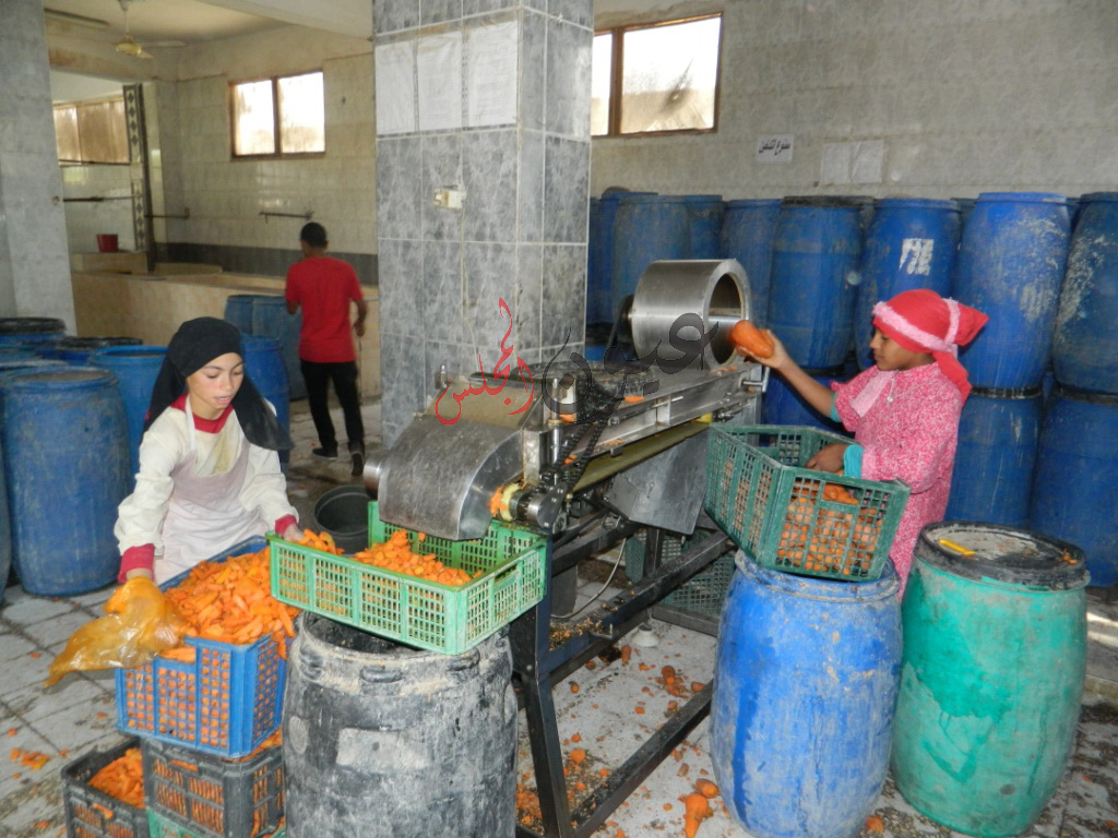 حملات تفتيشية مستمرة لضبط مصانع الأغذية غير المرخصة والمخالفة للشروط الصحية