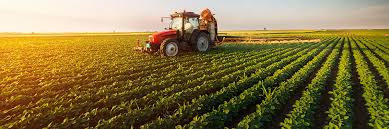 هل يمكن للزراعة أن تكون مربحة ومستدامة؟