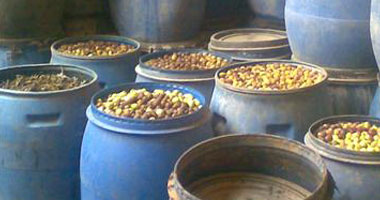 حملات تموينية: ضبط ملح طعام غير صالح للاستهلاك وأعلاف حيوانية ومخللات بالغربية