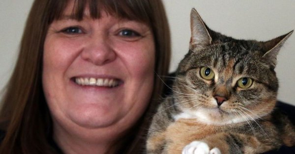 القط “ميسي” أنقذ صاحبته من سرطان الثدي بطريقة عجيبة