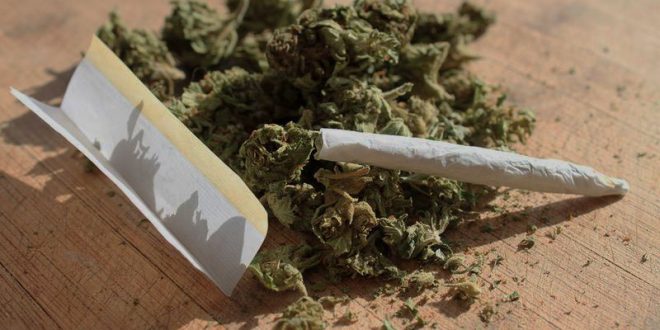 دراسة جديدة تكشف علاقه الحشيش بالقدرة على الإنجاب