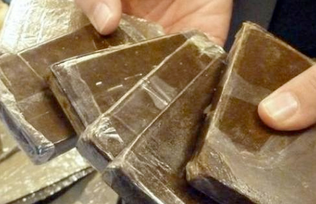 ضبط عاطلين كونا تشكيل عصابي للإتجار بالمخدرات بدمنهور