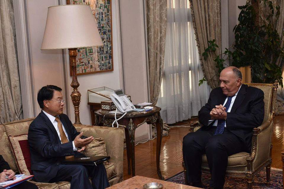 وزير خارجية مصر يلتقى بمدير عام منظمة اليونيدو لتحقيق أهداف التنمية المستدامة