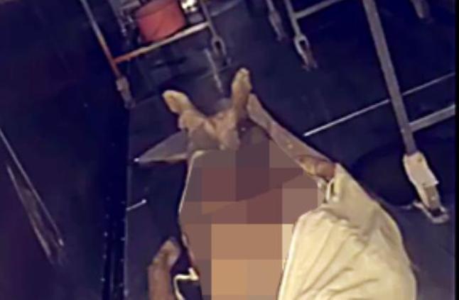 الرقص مع الجثث تفاصيل صادمة عن واقعة بالسعودية