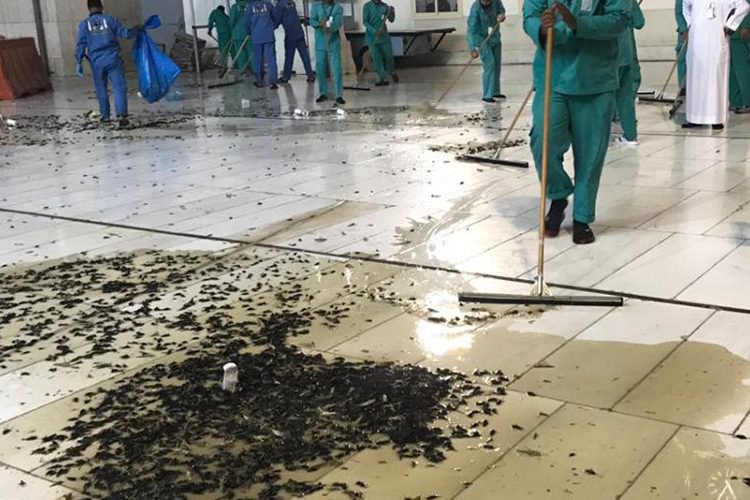 ملايين الصراصير تهاجم الحرم المكي وتمنع الصلاة.. لأول مرة في التاريخ