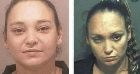 الزومبي او الاموات الاحياء او اكلين لحوم البشر