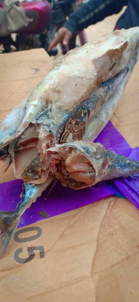 ضبط ٩٠٠ كيلو سمك مجمد صيني فاسد قبل توزيعه بالمحلات بسنورس..