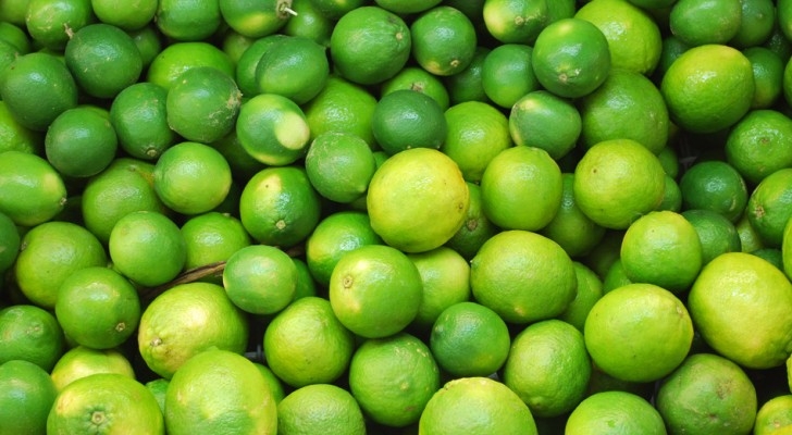 انخفاض سعر الليمون !