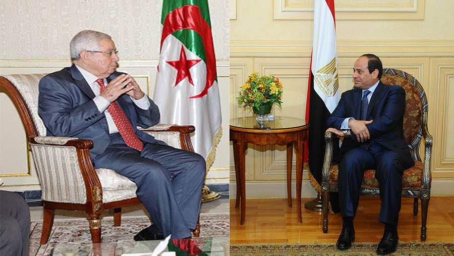 الرئيس الجزائري  المؤقت عبد القادر بن صالح يصل الي القاهره ويحضر المباراه النهائيه لمنتخب بلاده أمام السنغال غدا الجمعه