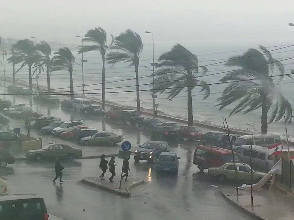 الرياح تدمر منطقة وسط أوروبا !