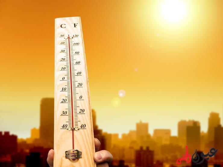 طقس مائل للدفء غدا ..