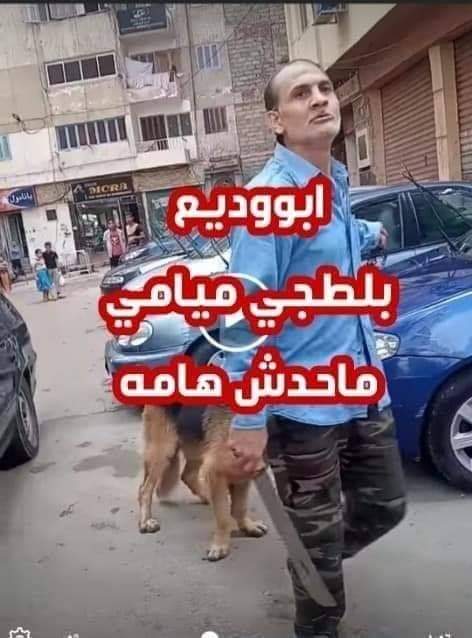 القبض على “بلطجي المنتزه”