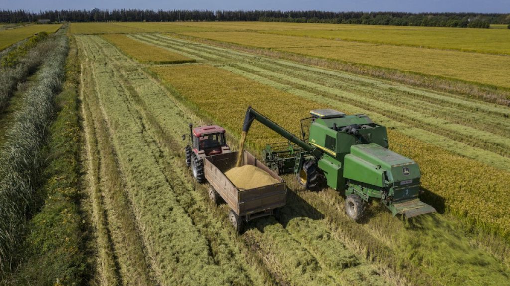 روسيا تنتصر في معركة أزمة الغذاء العالمية التي أحدثتها