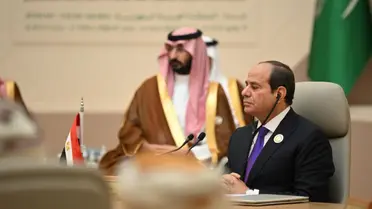 نواب يعلقون على كلمة الرئيس السيسي بمؤتمر جدة اليوم