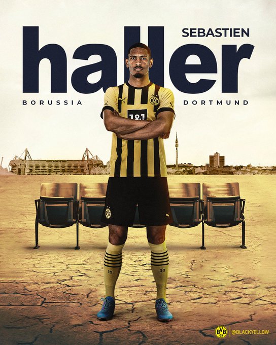 رسميًا سيباستيان هالر لاعبا لبروسيا دورتموند