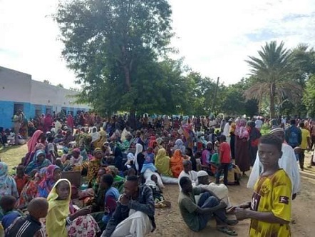 حصاد أحداث النيل الأزرق: ￼￼￼ 65 قتيلاً و192 جريحاً ونزوح 120 أسرة