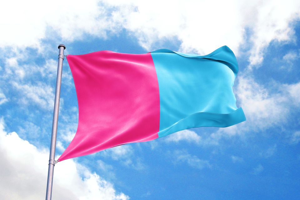 حملة فطرة ضد مجتمع الميم وكل ما ينافي الفطرة