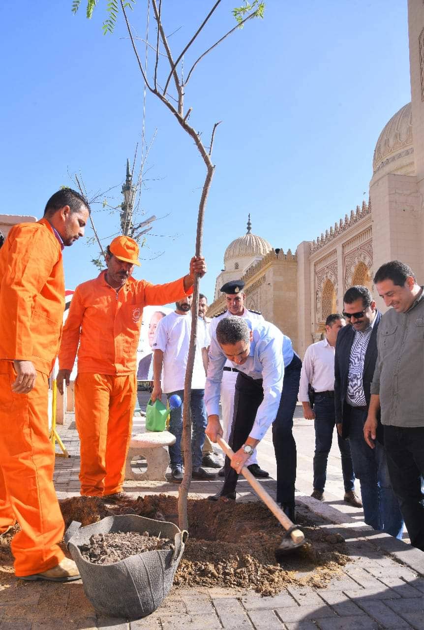 محافظ الغربية يساهم في زراعة محيط مسجد السيد البدوي  بطنطا