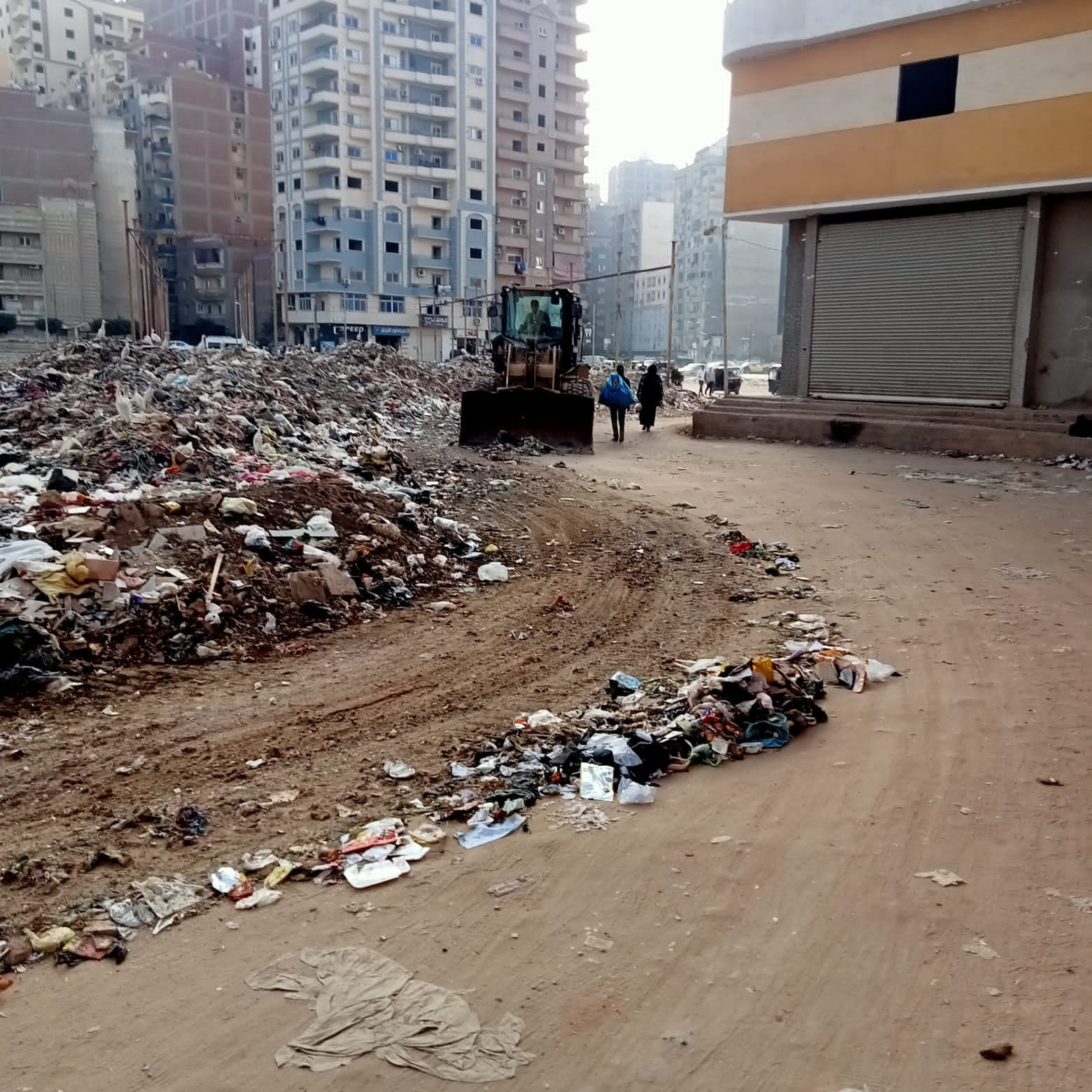 حملات نظافة مكثفة يشهدها حى ثان المحلة الكبرى