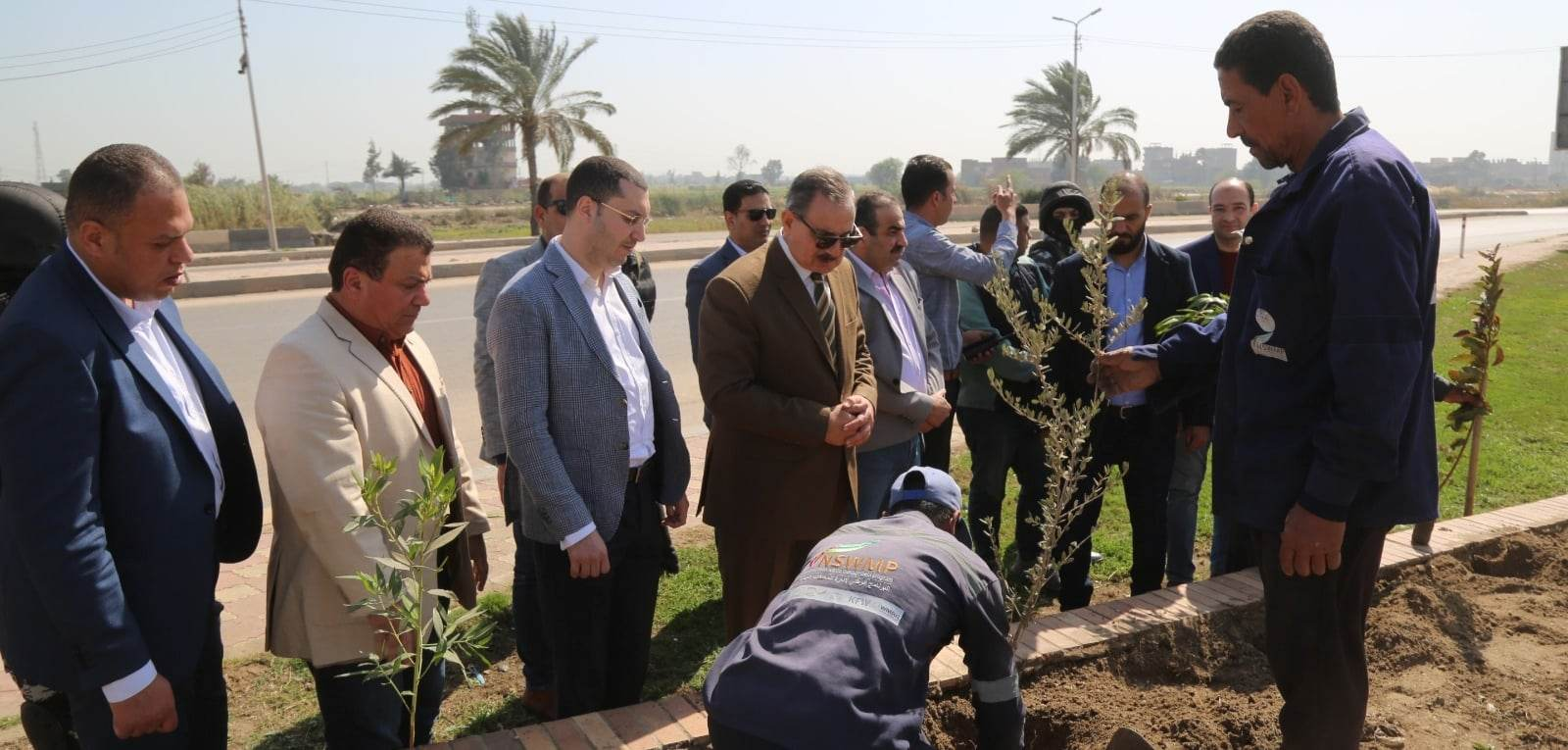 محافظ كفر الشيخ يشارك في زراعة الأشجار في “100 مليون شجرة”